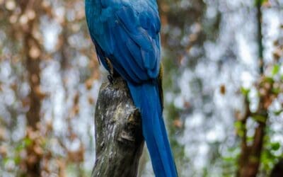 Dominate Search: Long Tail Keyword Targeting Tactics for NZ